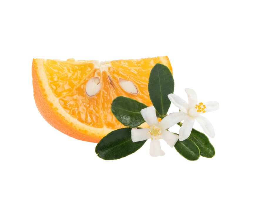 Neroli – Narancsvirág illóolaj