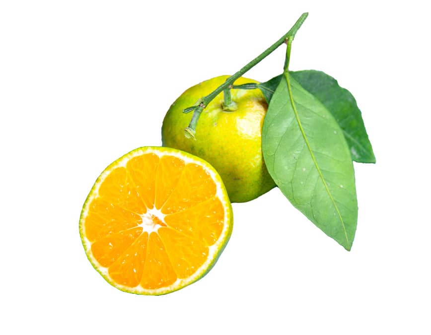 Green Mandarin – Zöld mandarin illóolaj